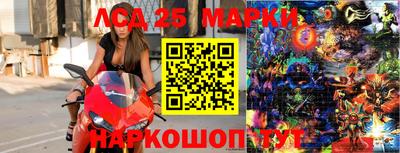 бошки Моздок