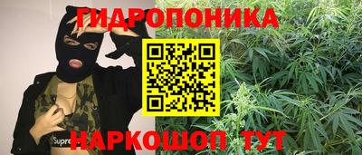 бошки Моздок