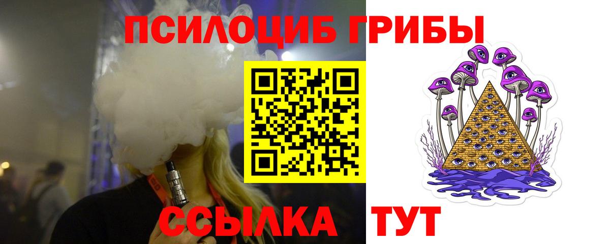 Псилоцибиновые грибы Psilocybe Ялуторовск